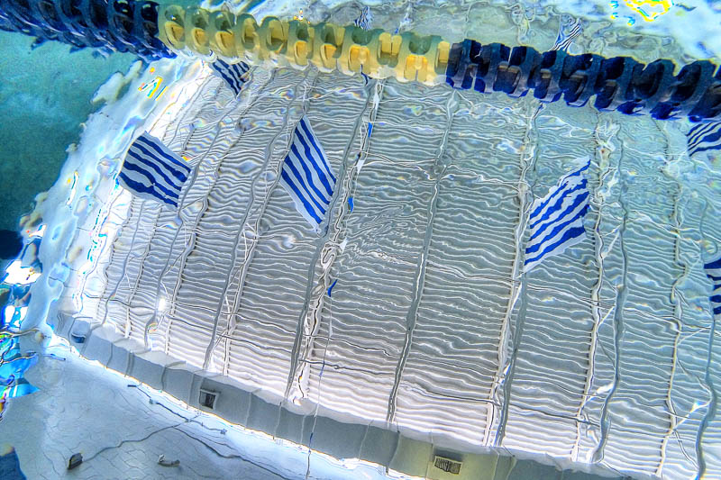 LBHF-Aquatics-3